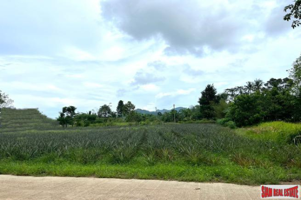 3 Rai Land Plot with Pineapple Plantation Near Villa Area for Sale in Ao Nang-3