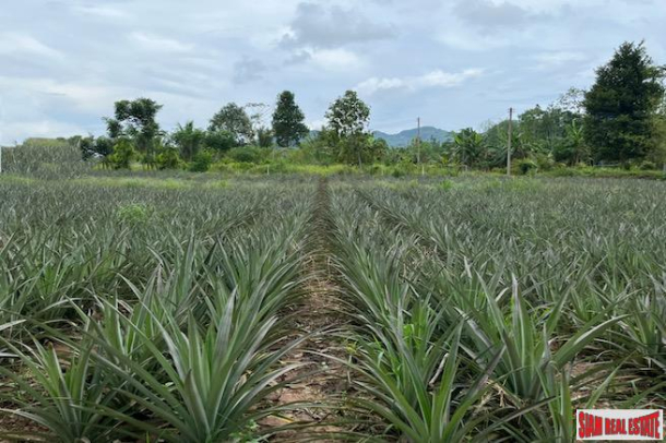 3 Rai Land Plot with Pineapple Plantation Near Villa Area for Sale in Ao Nang-4