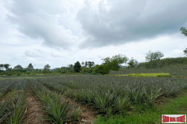 3 Rai Land Plot with Pineapple Plantation Near Villa Area for Sale in Ao Nang-5