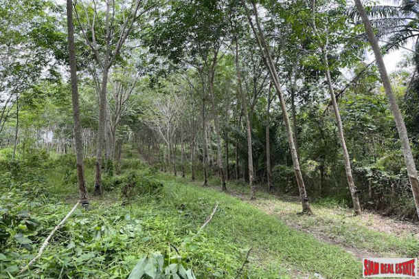 Over 5 Rai Land Plot with Rubber Plantation for Sale in Ao Nang, Krabi-1