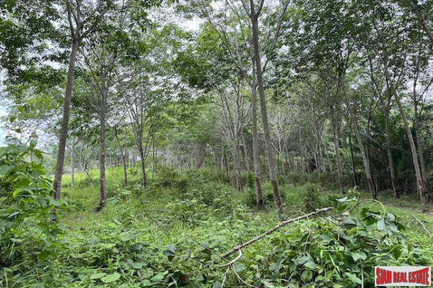 Over 5 Rai Land Plot with Rubber Plantation for Sale in Ao Nang, Krabi-2