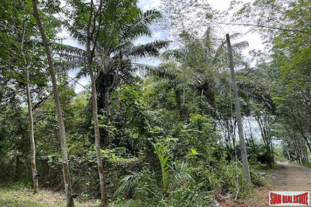Over 5 Rai Land Plot with Rubber Plantation for Sale in Ao Nang, Krabi-3