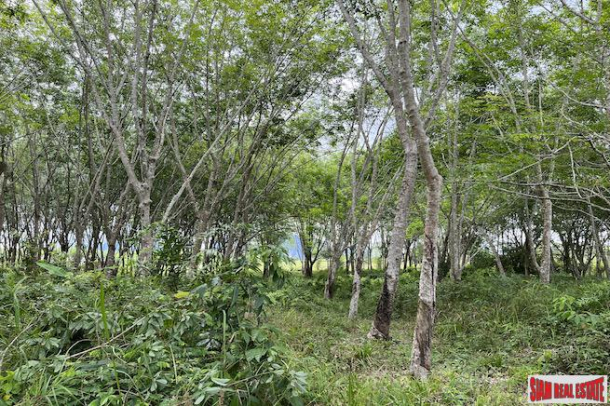 Over 5 Rai Land Plot with Rubber Plantation for Sale in Ao Nang, Krabi-4