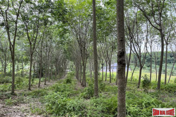 Over 5 Rai Land Plot with Rubber Plantation for Sale in Ao Nang, Krabi-6