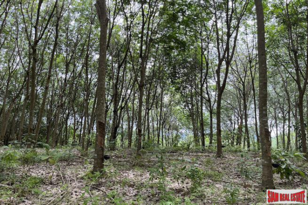 Over 5 Rai Land Plot with Rubber Plantation for Sale in Ao Nang, Krabi-7