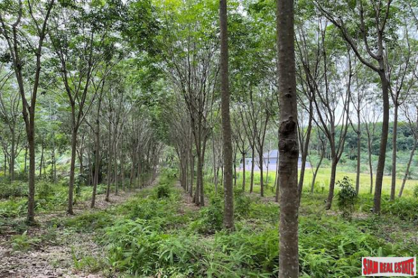 Over 5 Rai Land Plot with Rubber Plantation for Sale in Ao Nang, Krabi-8