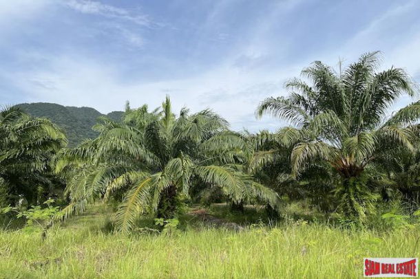 40 Rai Land Plot with a Good Location and Mountain Views for Sale in Khao Thong, Krabi-4