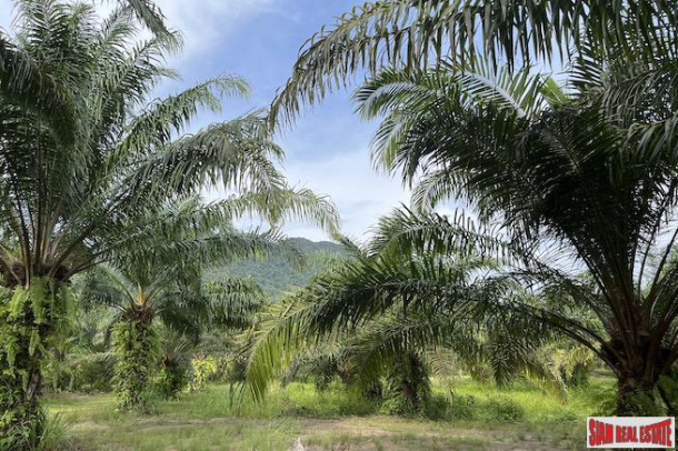 40 Rai Land Plot with a Good Location and Mountain Views for Sale in Khao Thong, Krabi-7