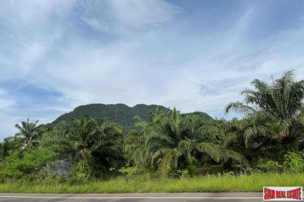 40 Rai Land Plot with a Good Location and Mountain Views for Sale in Khao Thong, Krabi-8