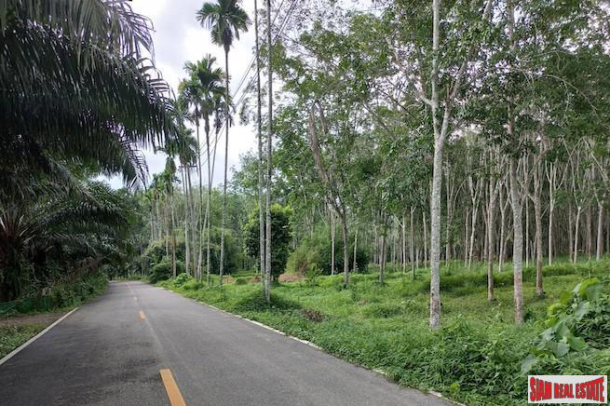 Lush Tropical 18 Rai Land Plot for Sale in Khok Kloi, Phang Nga-3