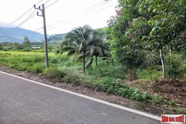 Lush Tropical 18 Rai Land Plot for Sale in Khok Kloi, Phang Nga-5