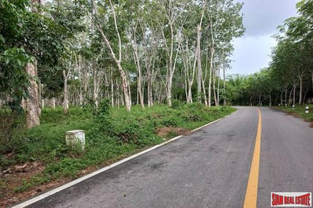 Lush Tropical 18 Rai Land Plot for Sale in Khok Kloi, Phang Nga-6