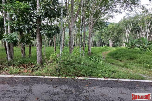 Lush Tropical 18 Rai Land Plot for Sale in Khok Kloi, Phang Nga-7