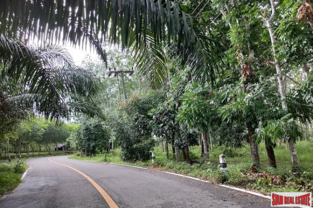 Lush Tropical 18 Rai Land Plot for Sale in Khok Kloi, Phang Nga-8