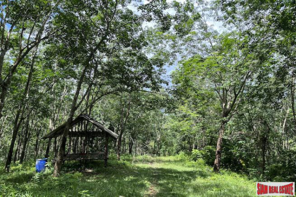 Phang Nga Bay View Land Plot for Sale-6
