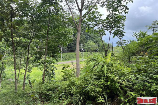 Phang Nga Bay View Land Plot for Sale-7