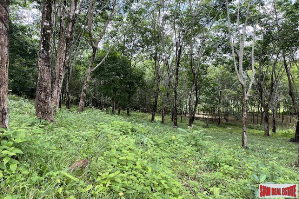 Phang Nga Bay View Land Plot for Sale-8