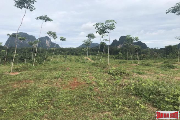 Over 28 Rai of Flat Land with Beautiful Mountain Views for Sale in Khao Thong-2