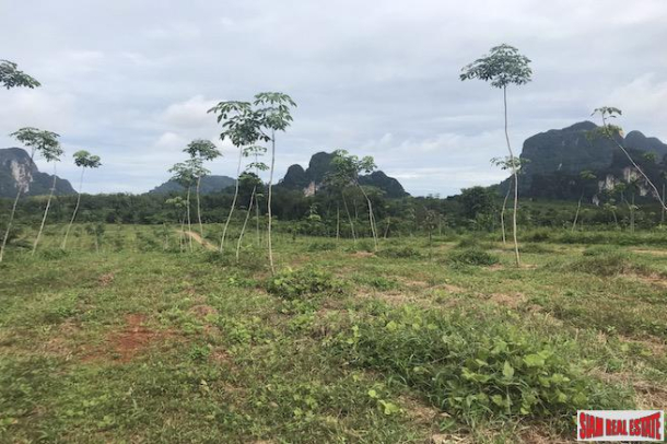 Over 28 Rai of Flat Land with Beautiful Mountain Views for Sale in Khao Thong-4