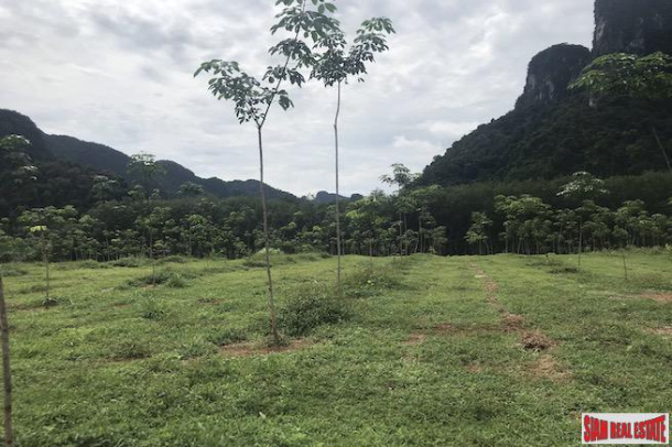 Over 28 Rai of Flat Land with Beautiful Mountain Views for Sale in Khao Thong-5