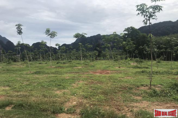 Over 28 Rai of Flat Land with Beautiful Mountain Views for Sale in Khao Thong-6