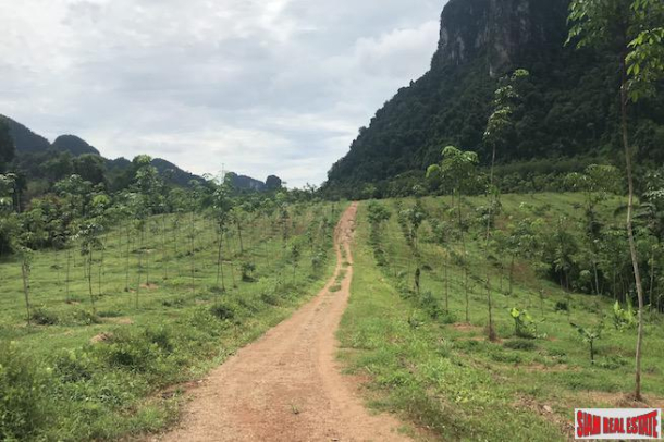 Over 28 Rai of Flat Land with Beautiful Mountain Views for Sale in Khao Thong-8