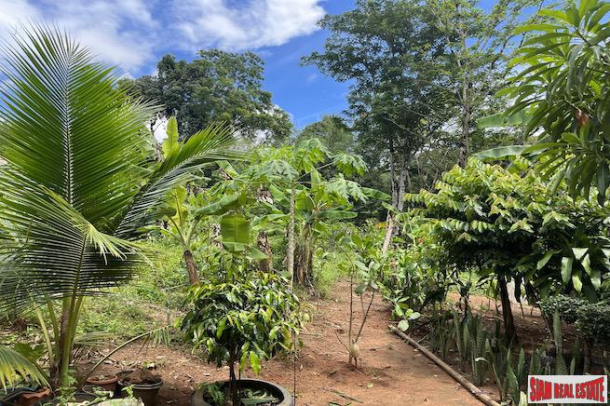 Almost 4 Rai of Lush Tropical Land for Sale in Pa Khlok-10
