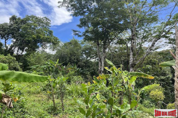 Almost 4 Rai of Lush Tropical Land for Sale in Pa Khlok-11