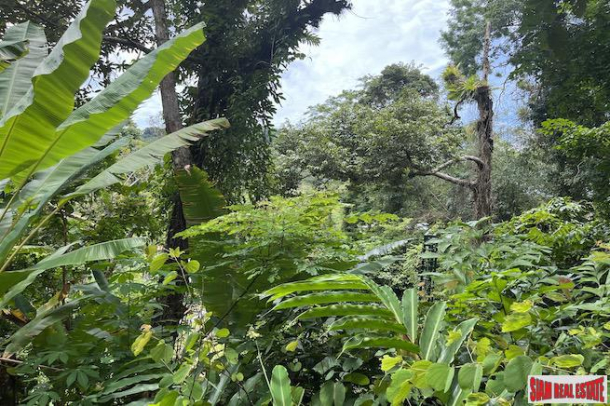 Almost 4 Rai of Lush Tropical Land for Sale in Pa Khlok-12