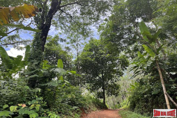 Almost 4 Rai of Lush Tropical Land for Sale in Pa Khlok-13