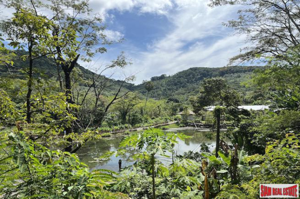 Almost 4 Rai of Lush Tropical Land for Sale in Pa Khlok-2