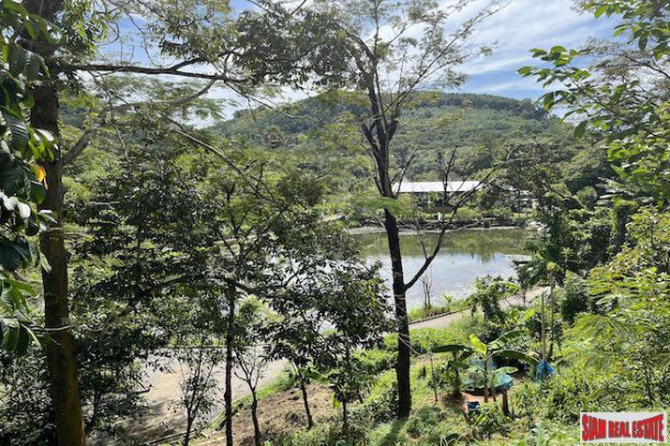 Almost 4 Rai of Lush Tropical Land for Sale in Pa Khlok-4