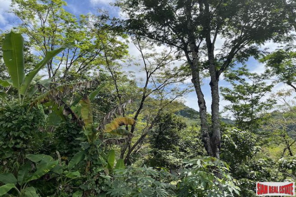 Almost 4 Rai of Lush Tropical Land for Sale in Pa Khlok-5