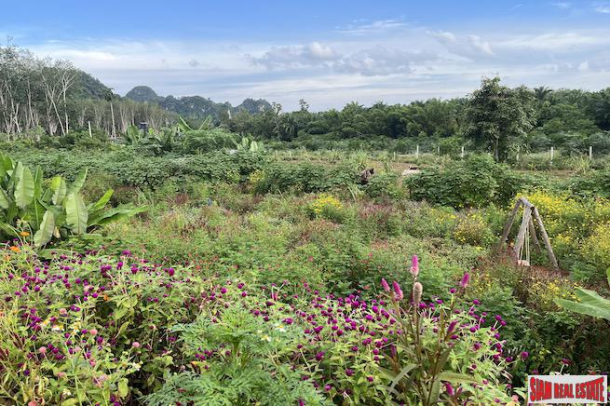 5 Rai, 1 Ngan Land Plot with Amazing Mountain Views for Sale in Sai Thai - Incredible Investment Potential-12