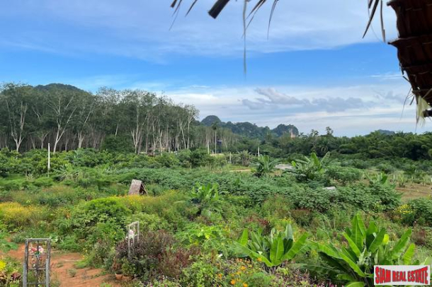 5 Rai, 1 Ngan Land Plot with Amazing Mountain Views for Sale in Sai Thai - Incredible Investment Potential-15