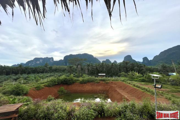 5 Rai, 1 Ngan Land Plot with Amazing Mountain Views for Sale in Sai Thai - Incredible Investment Potential-2