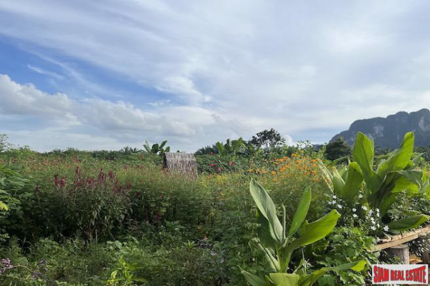 5 Rai, 1 Ngan Land Plot with Amazing Mountain Views for Sale in Sai Thai - Incredible Investment Potential-5