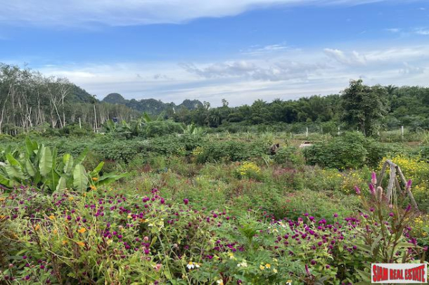 5 Rai, 1 Ngan Land Plot with Amazing Mountain Views for Sale in Sai Thai - Incredible Investment Potential-9