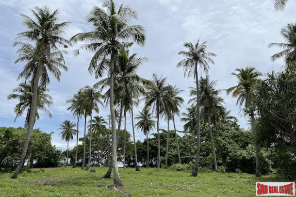 5 Rai of Private Beachfront Property for Sale in Nuea Klong Krabi-3