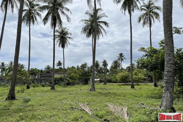 5 Rai of Private Beachfront Property for Sale in Nuea Klong Krabi-6
