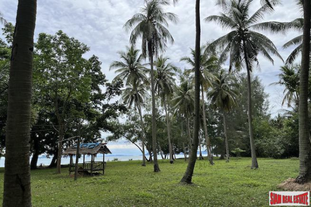 Almost 11 Rai of Beachfront Land for Sale in Nuea Klong, Krabi-6