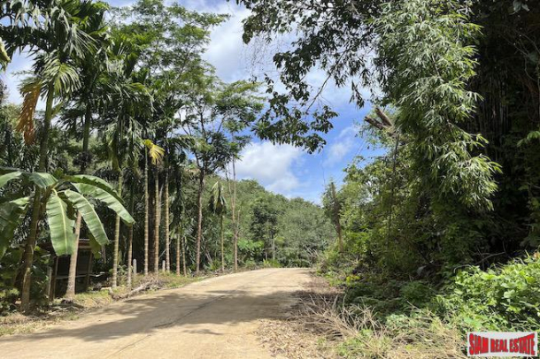 Over 12 Rai of Scenic Hillside Land for Sale in Phang Nga-2