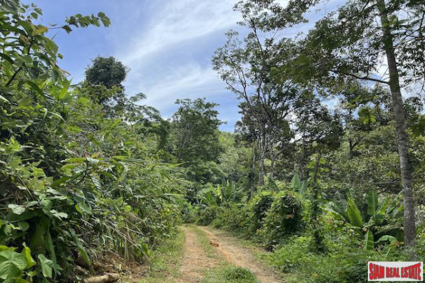 Over 12 Rai of Scenic Hillside Land for Sale in Phang Nga-4