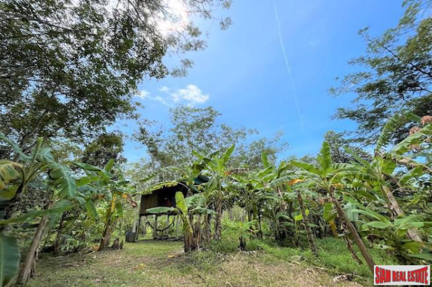 Over 3 Rai Land Plot with Rubber Plantation and Creek for Sale in Thalang-10