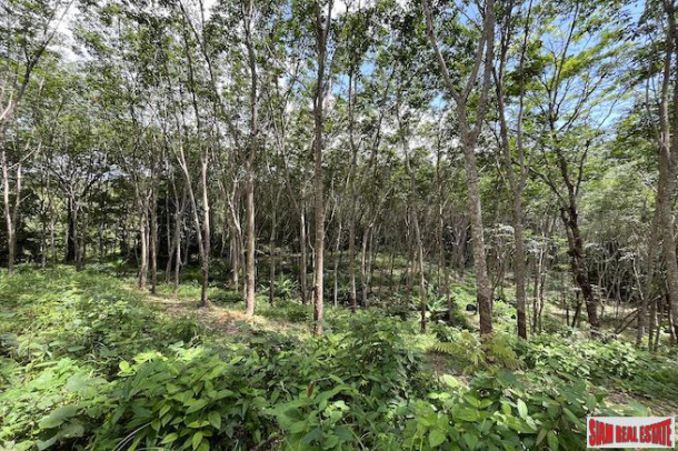 Over 3 Rai Land Plot with Rubber Plantation and Creek for Sale in Thalang-11