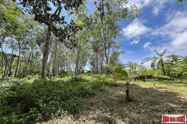 Over 3 Rai Land Plot with Rubber Plantation and Creek for Sale in Thalang-12