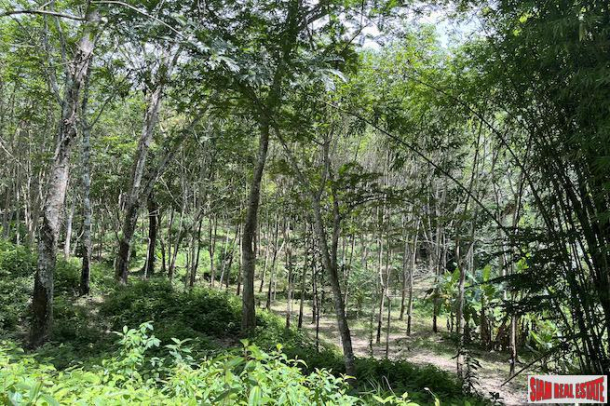 Over 3 Rai Land Plot with Rubber Plantation and Creek for Sale in Thalang-13