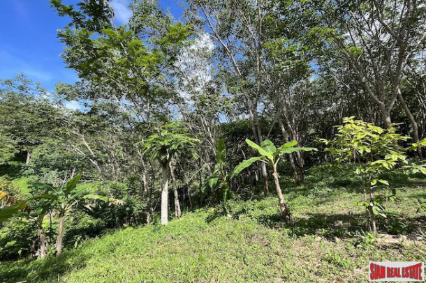 Over 3 Rai Land Plot with Rubber Plantation and Creek for Sale in Thalang-17