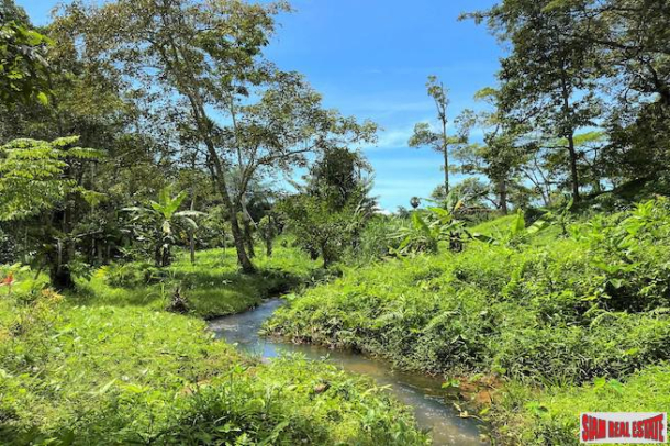 Over 3 Rai Land Plot with Rubber Plantation and Creek for Sale in Thalang-2