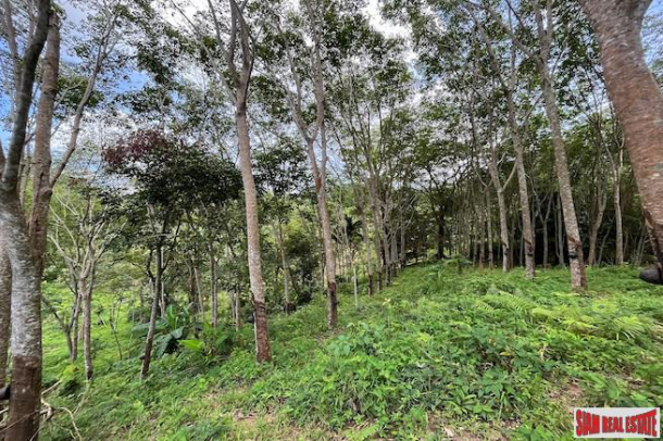 Over 3 Rai Land Plot with Rubber Plantation and Creek for Sale in Thalang-4